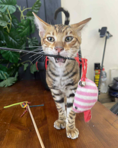 6D57854A-2434-46C7-B6B0-4796CD10C688