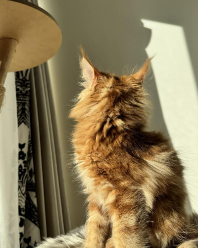 6DEB5407-F109-49EF-943C-B0CC890DE82C