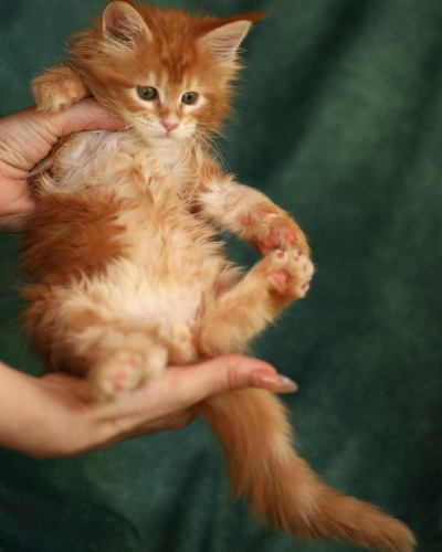 6E1AF43E-23B2-4C26-86D9-BD5E89916732