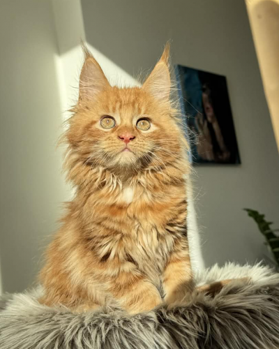 6E223674-9FDE-47F6-85B2-C5A97EE970FE