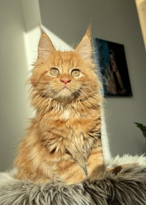 6E223674-9FDE-47F6-85B2-C5A97EE970FE