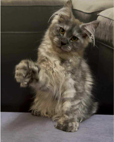 6EA16439-33D3-4009-AE4E-8D44DD8C6E86