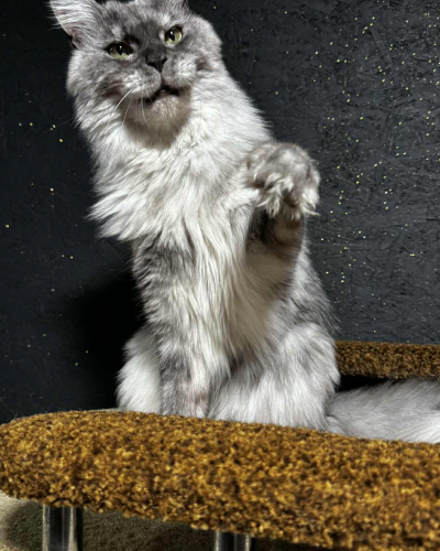 6EC71012-B755-4E38-BFB3-626976CDF4DD