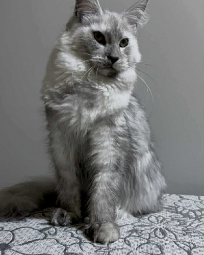 70363DA6-02DC-4EE0-8525-65EF1C14490A