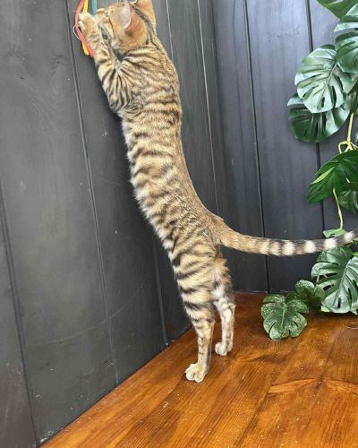 7158CFFA-74B1-49C1-9FC0-5757C54FBB75