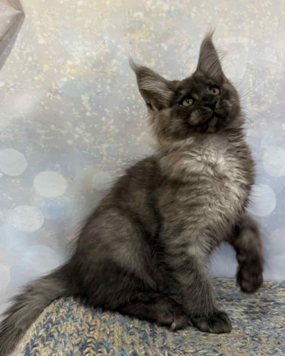 71614778-EF27-4978-884F-97302F3359B7