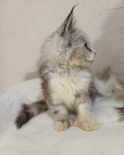 71828aaf-02e0-472a-88f1-54aaa354e714