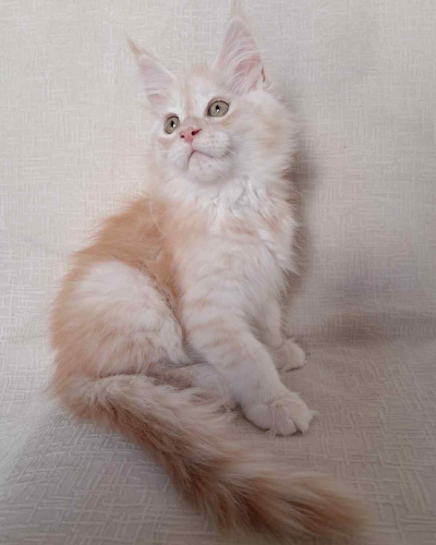 773FAF69-E6D6-4D1A-B019-37289AA62FEF