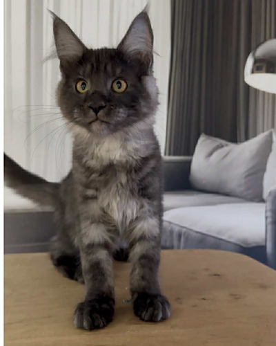 77BD011F-F7AA-48F1-9F0D-BE82AFA96371