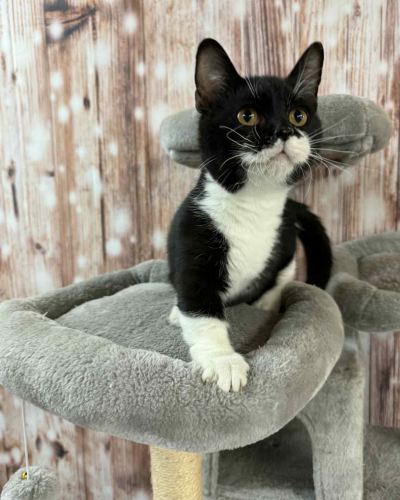 78690729-C8BF-47B5-9A44-623D93C51A18