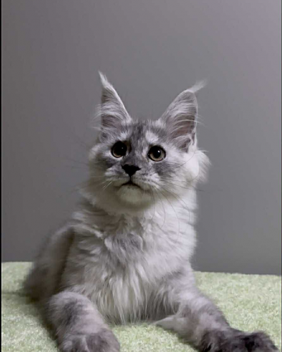 791D98EE-5B73-404E-ADC0-12D78A83CAFF