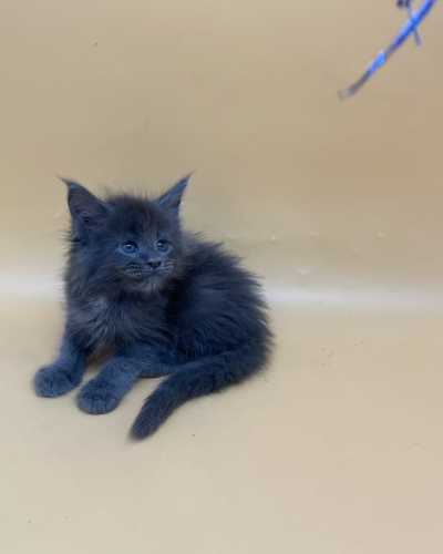 795B6760-FCFE-46E1-B9A9-710B525B9FD9