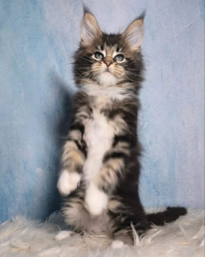 7985c012-548b-46de-a8fa-1cefc859dd55