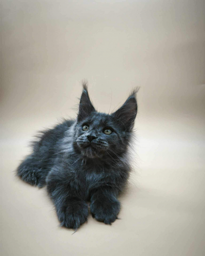 7999D4FD-FF07-429B-8399-A6CC151584F4