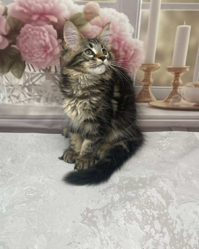 7A682C36-097B-43CF-9231-B67E929538B3