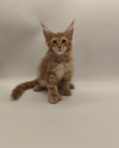 7B2A58D2-9112-4C3D-9B94-8029982EC8B2