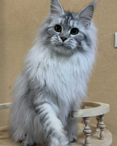 7B618E00-B6A9-40E1-BE08-DEBC84F082A4