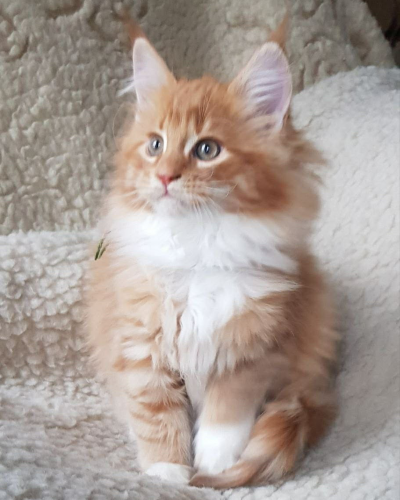 7CBE7596-E87C-4630-BC93-993B5D4C3852