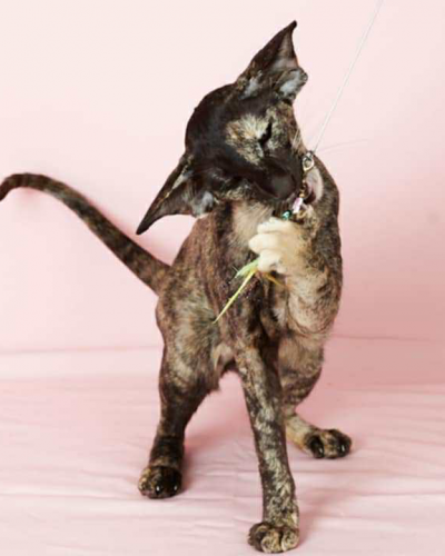 7CD2B13D-7D6D-49E1-B234-2DF787E54E03