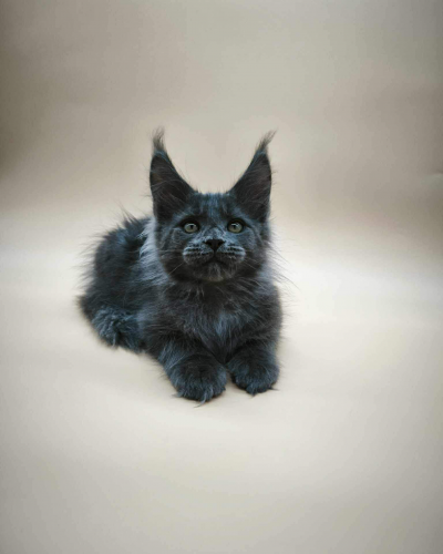 7EDE2621-217F-4513-ADA7-FDFA9DE65823