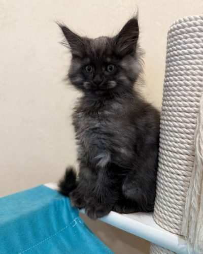 7a6fadb7-a2cb-4b9e-b24b-01adbfb19602 (1)