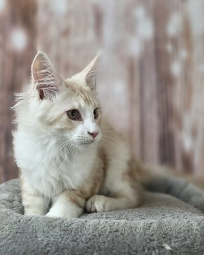 7cbdb80a-4269-457d-9d7a-04c7f73e9338