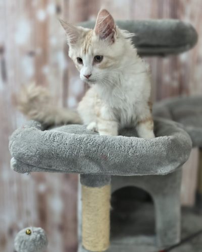 7d765ca8-a63f-40f5-903f-2f026d4c184e