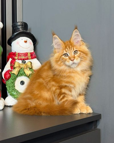 7f9c8efb-0197-44f4-a813-77e9b9422489