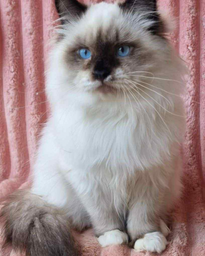 82441485-C1EC-42E5-9878-6205A0418701