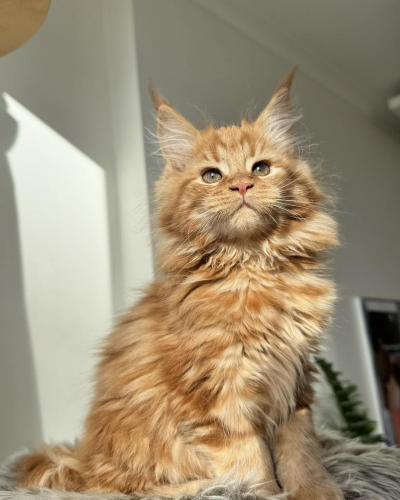 830F7197-083B-4D33-A7D1-A3F1904DF713