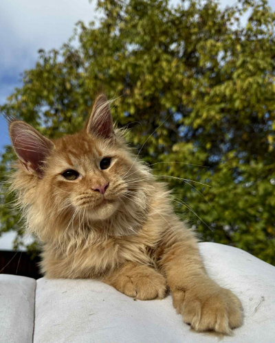 835D0F1E-B9FC-4009-887D-376B7BE0BAB6