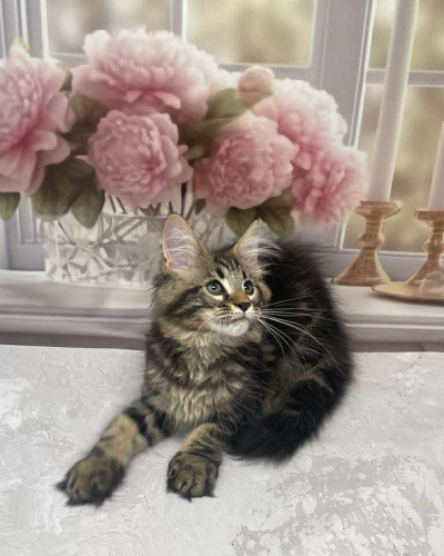 83965853-1348-4541-A2C4-547E6D159E40