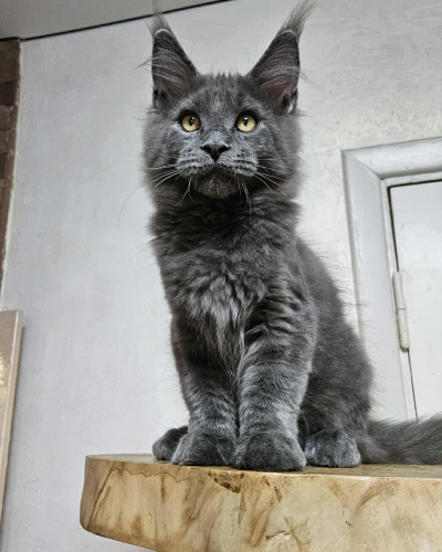 85C4D01B-9A2C-4BF0-BF3C-BE8CC109E144