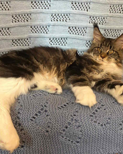 86FAA852-58EF-4014-9C04-6BD483EC9A68