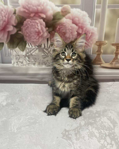 87574D11-68BC-456F-B5C8-012796E03CDD