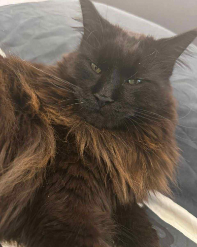 885CB974-3D31-4E38-9EB6-4394E1CB6FF8