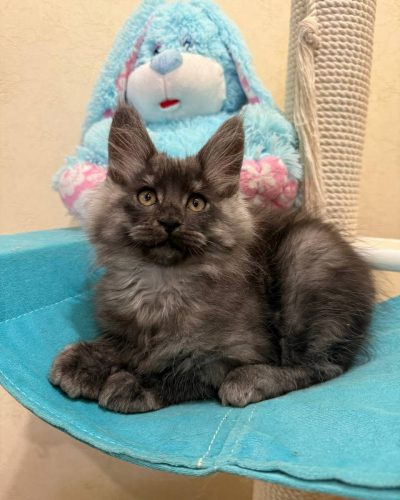 88bc0b82-91b5-4685-80eb-cf8d5ca28654