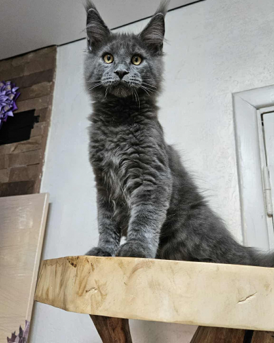 8B886F7F-73D8-4372-97F6-07FD41F12124