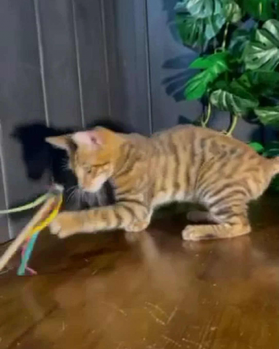 8C202619-2095-48EE-AC61-325A18670A75