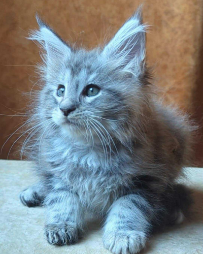 8D24B83B-D3A6-4A8E-8812-E46DDA4F9DAE