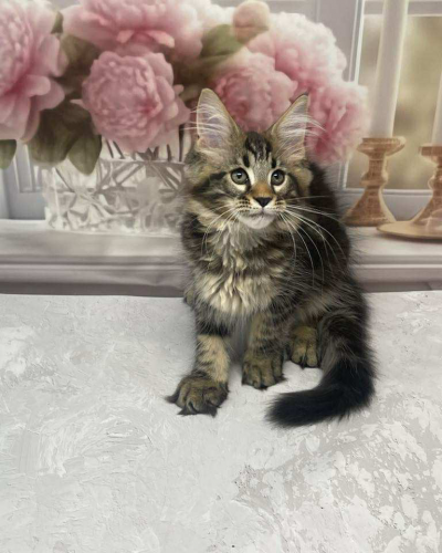 8E01EE99-CC66-4DAC-B6AC-4B834EF6C97C