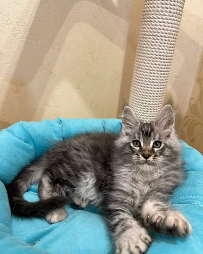 8ad39d05-457a-4529-b7c3-3f1eab49da23