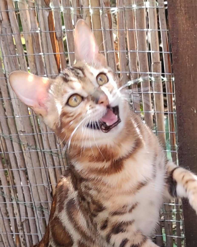 907B37D7-BA34-4543-AB3A-A2C2A5BBAA6D