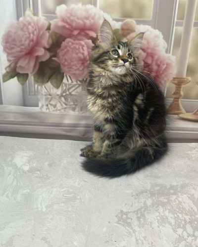 90C563BC-211E-4C76-93F9-9BC966F080D7