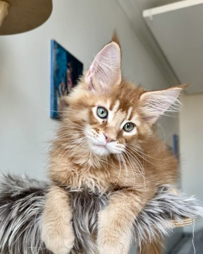 9125a345-2dd2-4b57-b8c6-e7042597a352