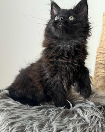 91B21A05-F2C9-45C7-82AF-8DA85DB9908B