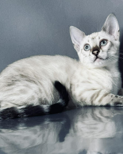 928B234E-3EA7-4C07-9EEC-E2EDD617C06D