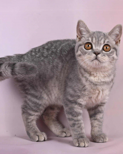 92B89F83-EA18-4BE9-B396-DDE0B0DC950E