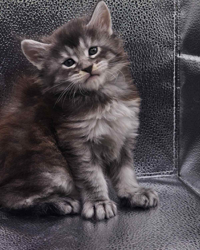 92C60F0C-0D9C-4E64-88E8-AD63BE8231BE