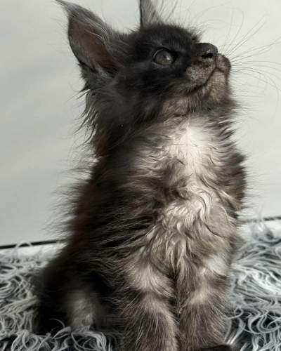 92D863BB-8F10-4AE7-B462-21E0B5709BC2